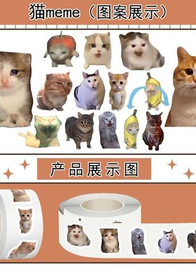 1000贴热梗猫meme表情包卷卷贴纸可爱搞怪趣味猫猫梗图贴画防水