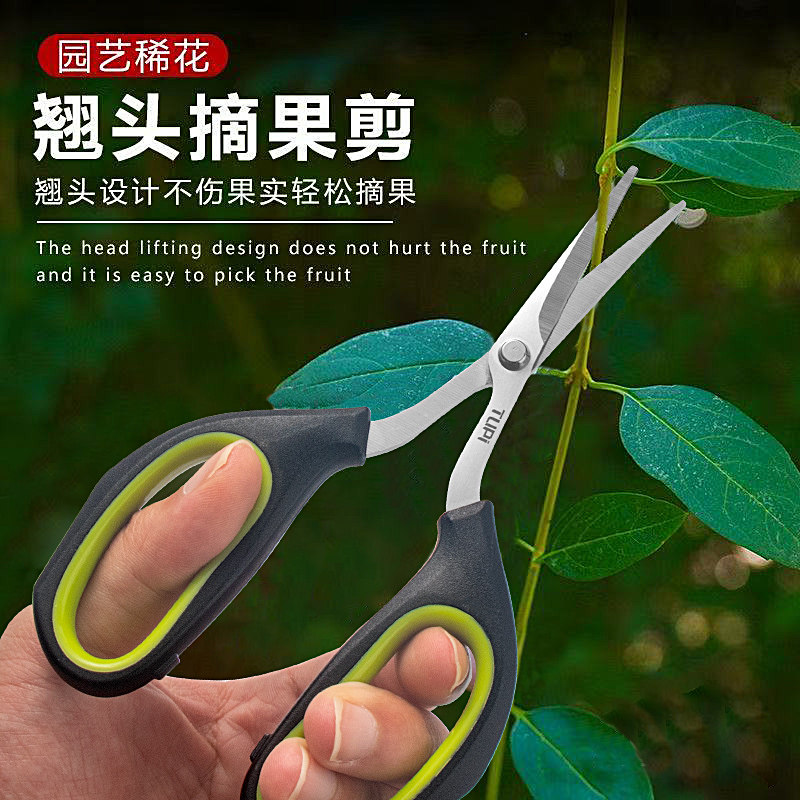 翘头摘果剪不锈钢园艺剪蔬果剪刀尖头小剪水果鲜花果树摘瓜蔬果剪