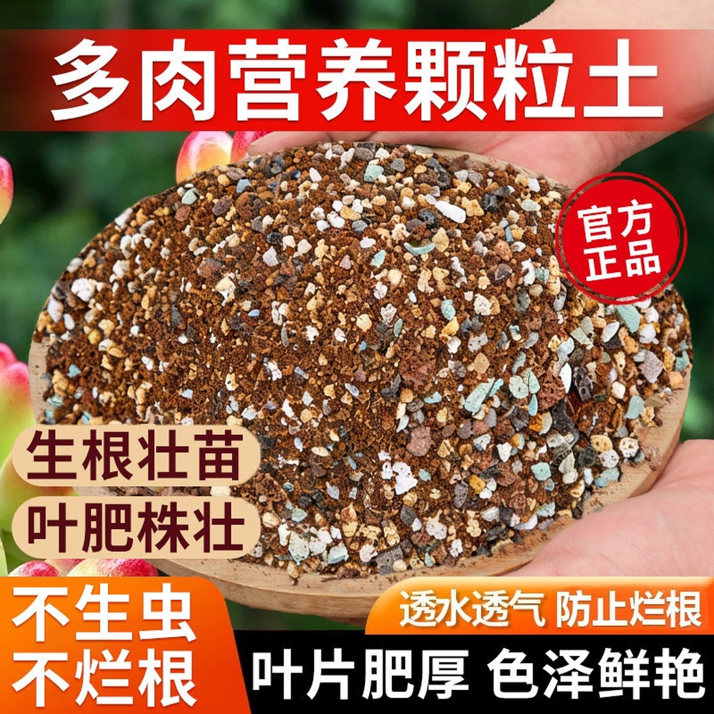 仙人球专用土颗粒营养土仙人掌玉树人柱麒麟盆栽泥炭土壤种植养花