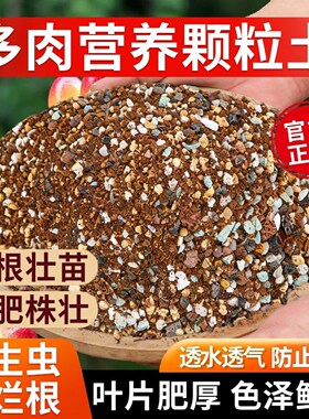 仙人球专用土颗粒营养土仙人掌玉树人柱麒麟盆栽泥炭土壤种植养花