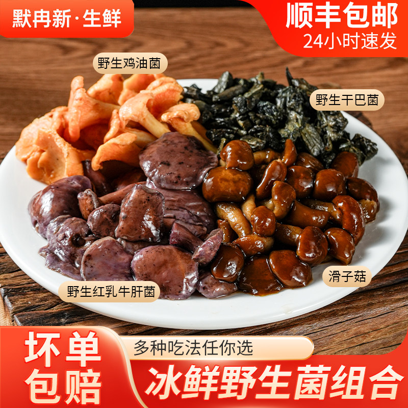 鸡油菌红乳牛肝菌野生菌蘑菇