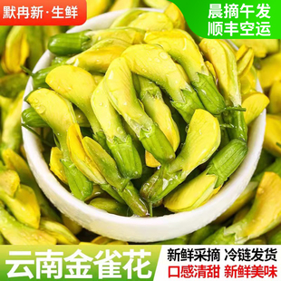 【现货】新鲜金雀花1斤 现摘云南当季时令野生阳雀花食用鲜花野菜