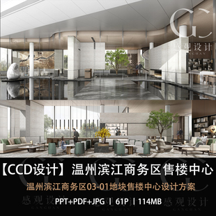 CCD精选设计温州滨江老巷区03-01-02地块设计资料方案设计PPT文本