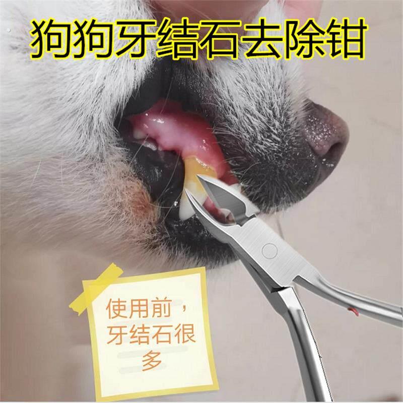 宠物用品钳子狗狗牙结石去除器口腔除臭去洁牙神器工具泰迪拔耳毛