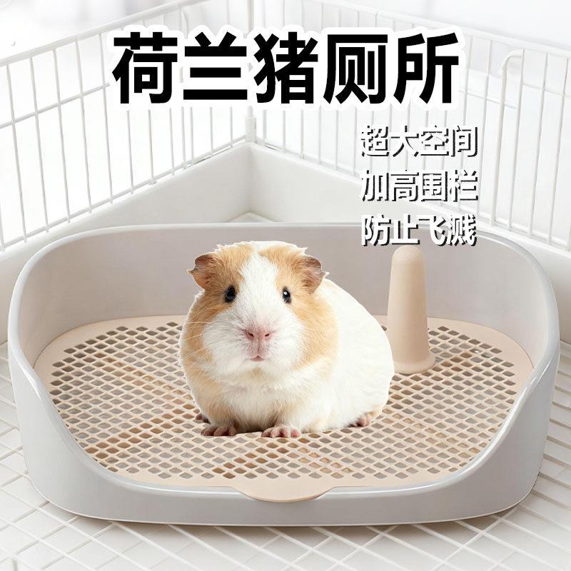 荷兰猪厕所专用超大清理豚鼠便盆定点尿盆粪便宠物分离宠物用品