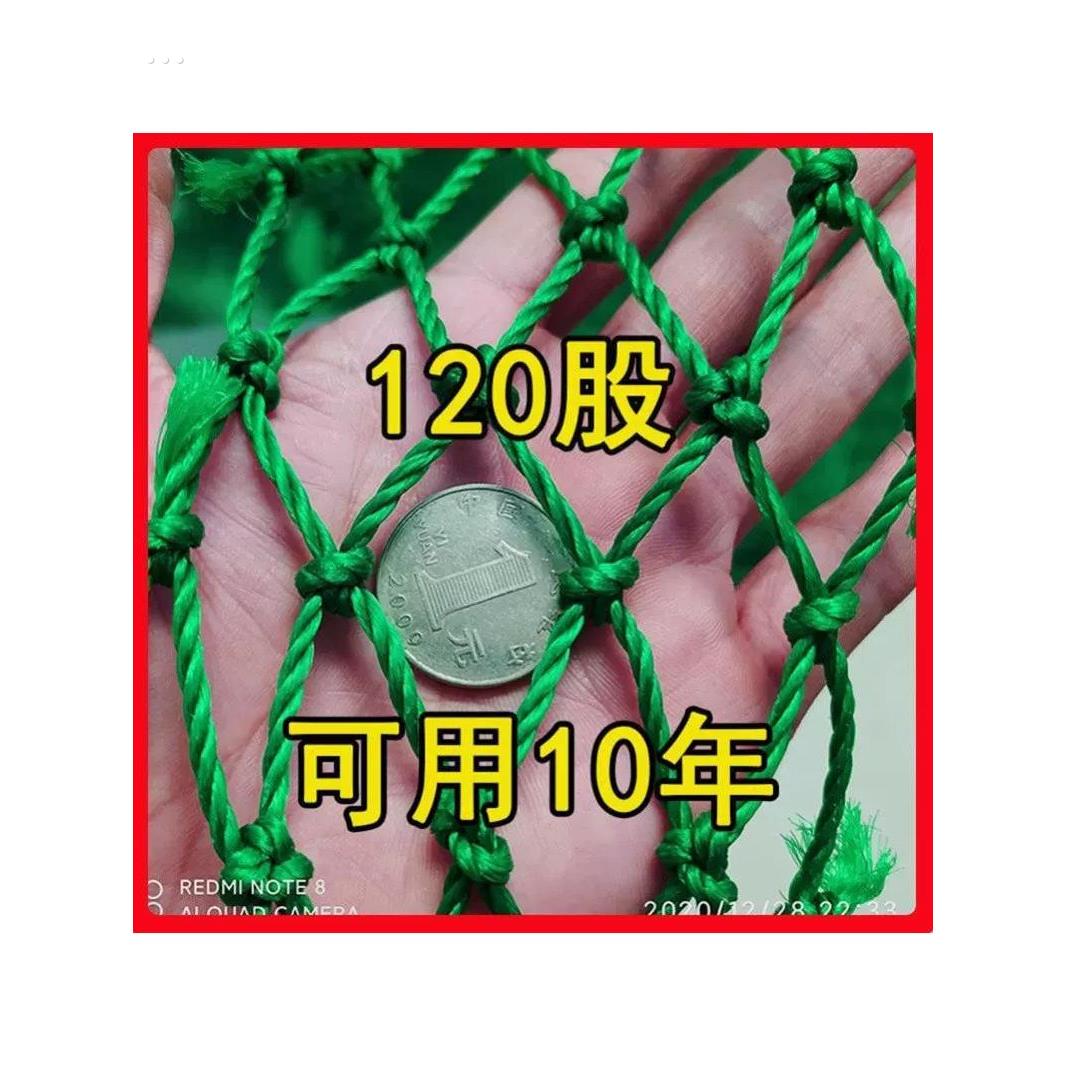 植物百香果爬网爬网瓜葡萄丝瓜挂瓜豆网黄瓜种植网脚手架网