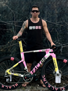 Factor ONE 碳纤维全内走碟刹公路自行车车架