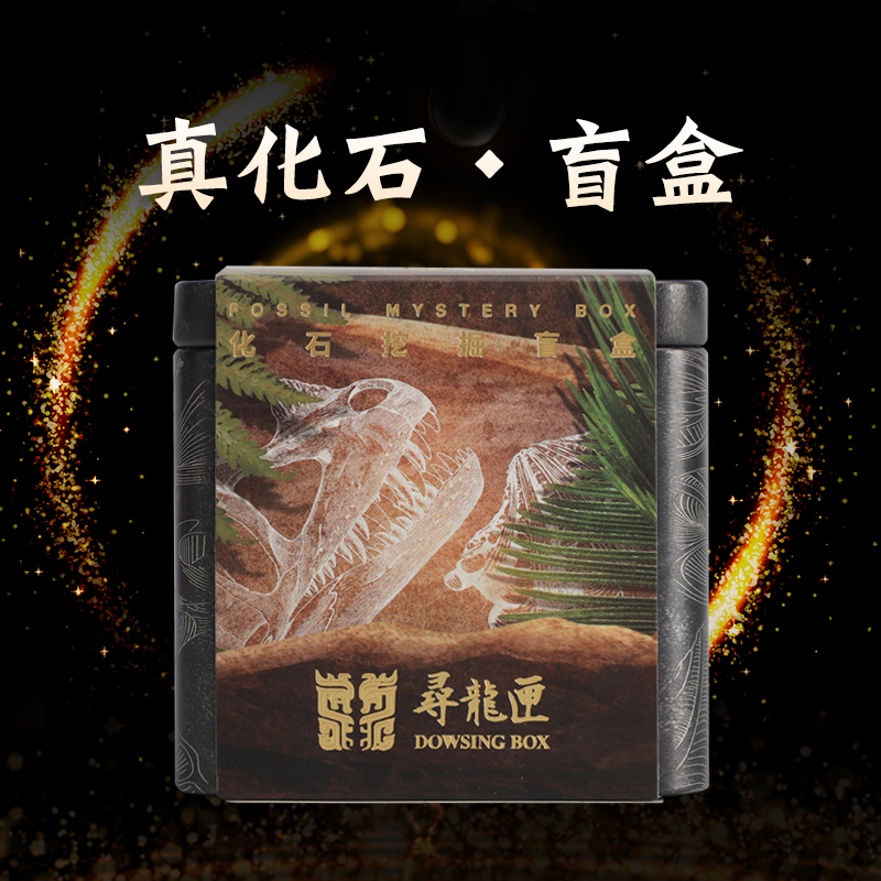 地址公园真品化石挖掘考古盲盒