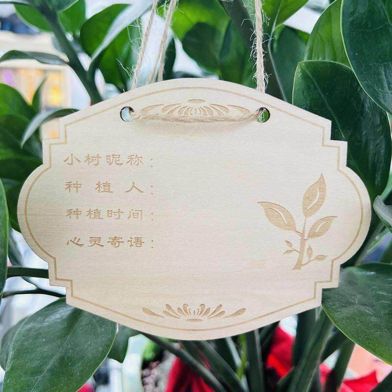植树节挂牌木质树牌学校幼儿园树木认养牌小树苗吊牌子园艺标签牌