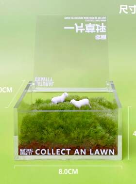 通用型家用引自然-一片草坪 苔藓植微景桌面懒观力绿盒子植简单人