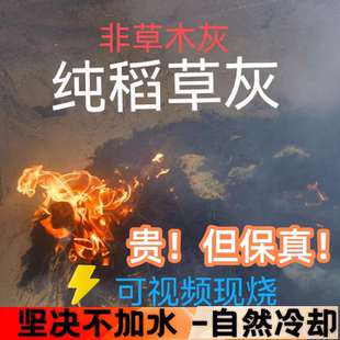 天然纯稻草灰水稻秸秆苗现烧现卖非草木灰不纯不要钱支持检验检测