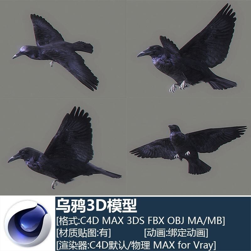 C4D高精度小鸟鸟类乌鸦带绑定动画工程源文件设计素材3D模型C2177