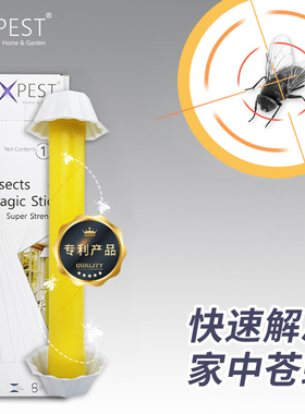 EXPEST苍蝇贴强劲粘蝇纸灭苍蝇家用小飞虫灭杀苍蝇克星