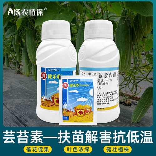 芸苔素内脂酯保花果生根调节剂