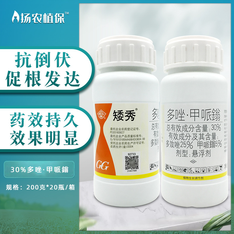 国光矮秀多效唑挫甲哌鎓多肉花卉植物矮壮剂矮壮素控旺生长调节剂