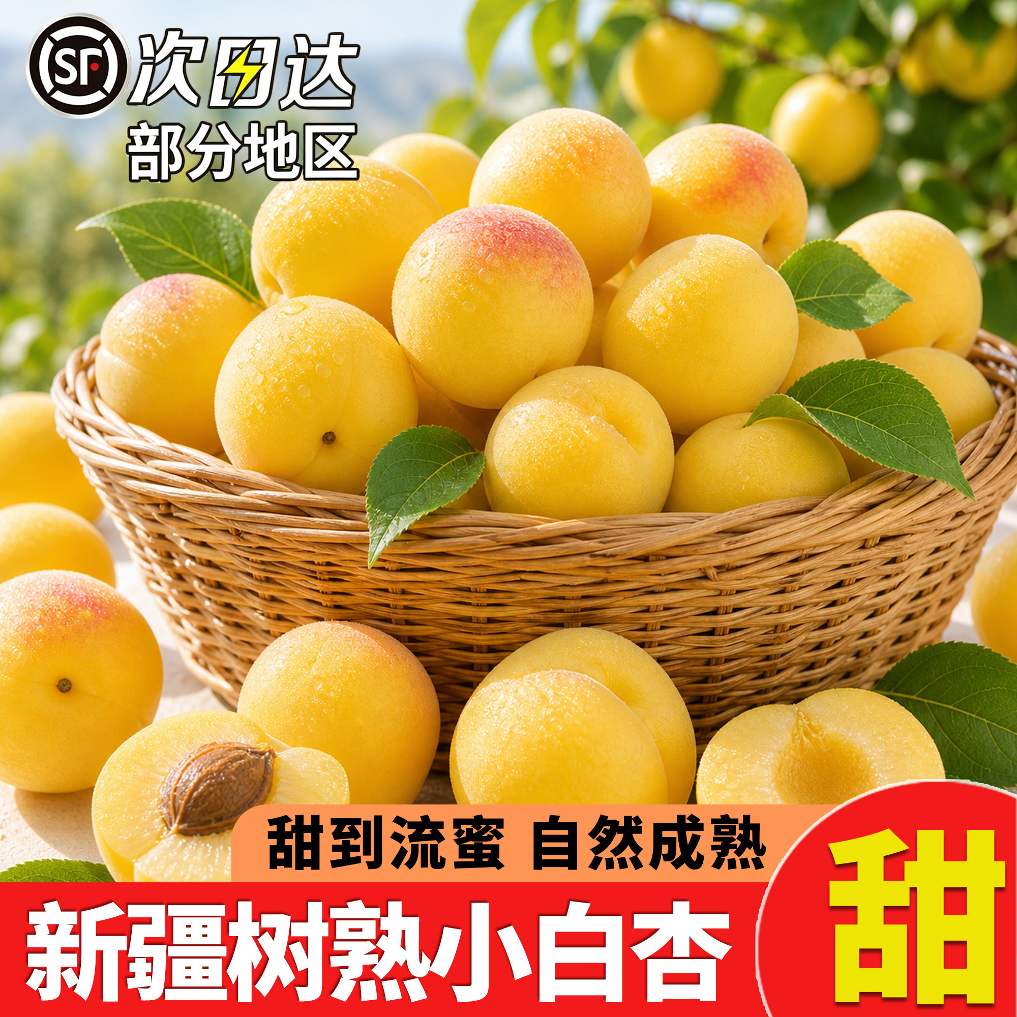 新疆小白杏库3斤当季库车新鲜轮台甜杏蜜杏整箱水果顺丰包邮