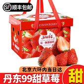 孕妇水果 新鲜奶油甜草莓当季 北京当日达 99红颜草莓3盒礼盒装