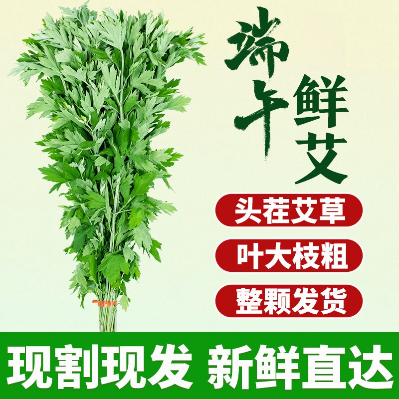 新鲜艾草整棵端午节挂门窗艾叶花束现采现发菖蒲挂饰香包驱蚊泡脚