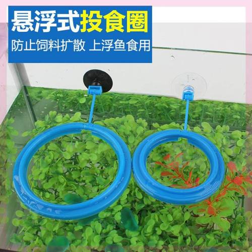 鱼儿水草价格 鱼儿水草图片 星期三