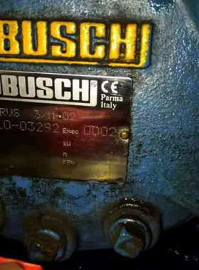 意大利 ROBUSCHI 真空泵 ROBUSCHI RVS30/CT-02