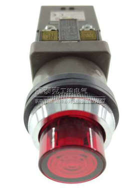 30MM和泉IDEC带灯按钮ALN22611DNR/DNG/DNY 1开1闭 220V 红色