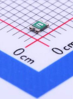 FSMD010-24-0805-R 自恢复保险丝 24V 100mA 0805自恢复 0805 自