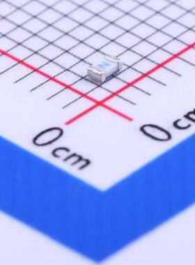 0441002.WR 一次性保险丝 贴片式陶瓷保险丝 0603