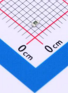 06 110.3 06 110.3 0603 一次性保险丝
