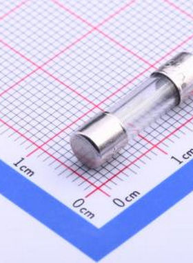 5S.3000240000S1D 一次性保险丝 玻璃管保险丝 D5.2xL20mm 一次性