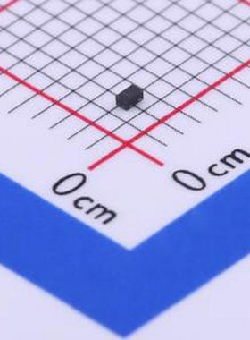 Rclamp0531T-N 双向ESD DFN1006 静电和浪涌保护(TVS/ESD)