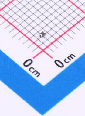 0402L010SLKR 自恢复保险丝 6V 100mA 0402自恢复 0402