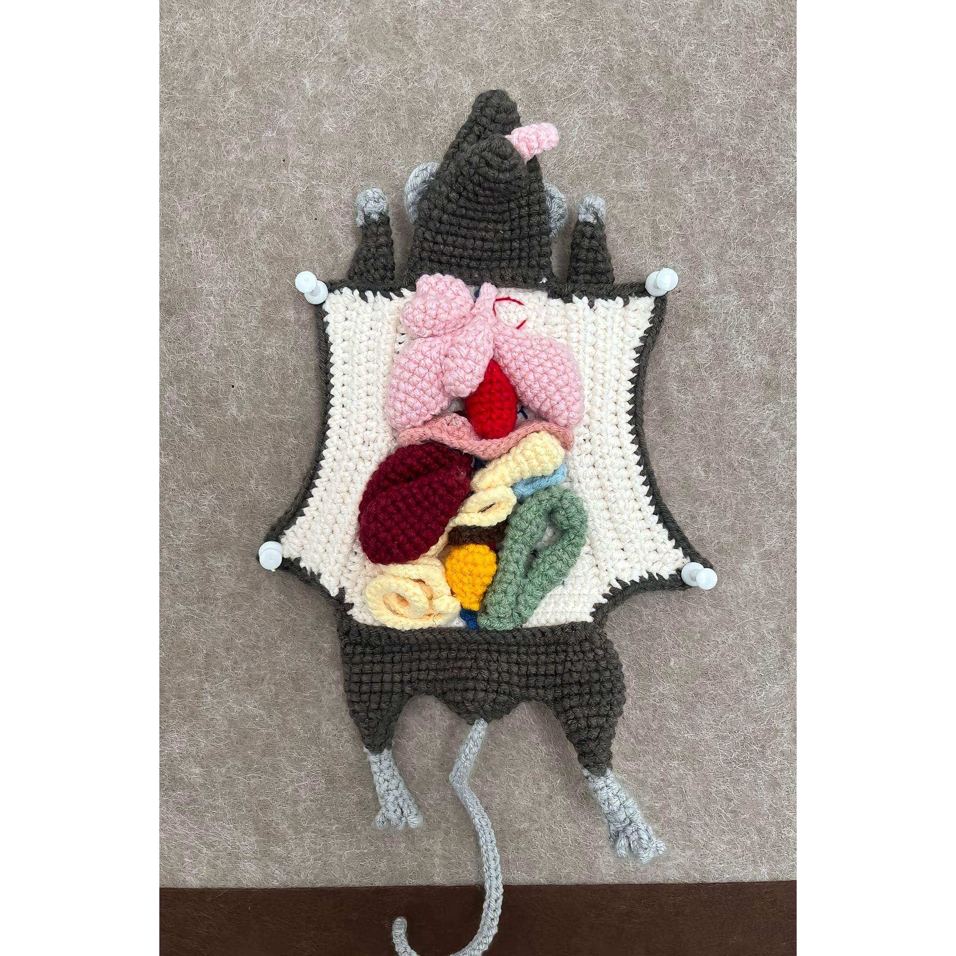 趣味搞怪毛线钩针手工礼物编织创意解剖小白鼠玩偶diy自制材料包,服饰配件/皮带/帽子/围巾,DIY编织材料包,淘宝优惠券,粉丝福利购,淘宝优惠卷