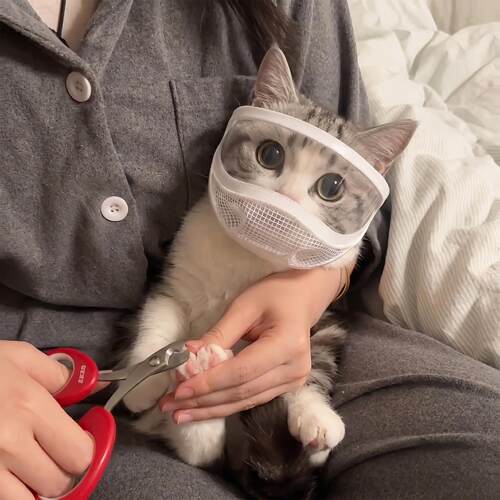 猫嘴套猫咪头套防咬防舔
