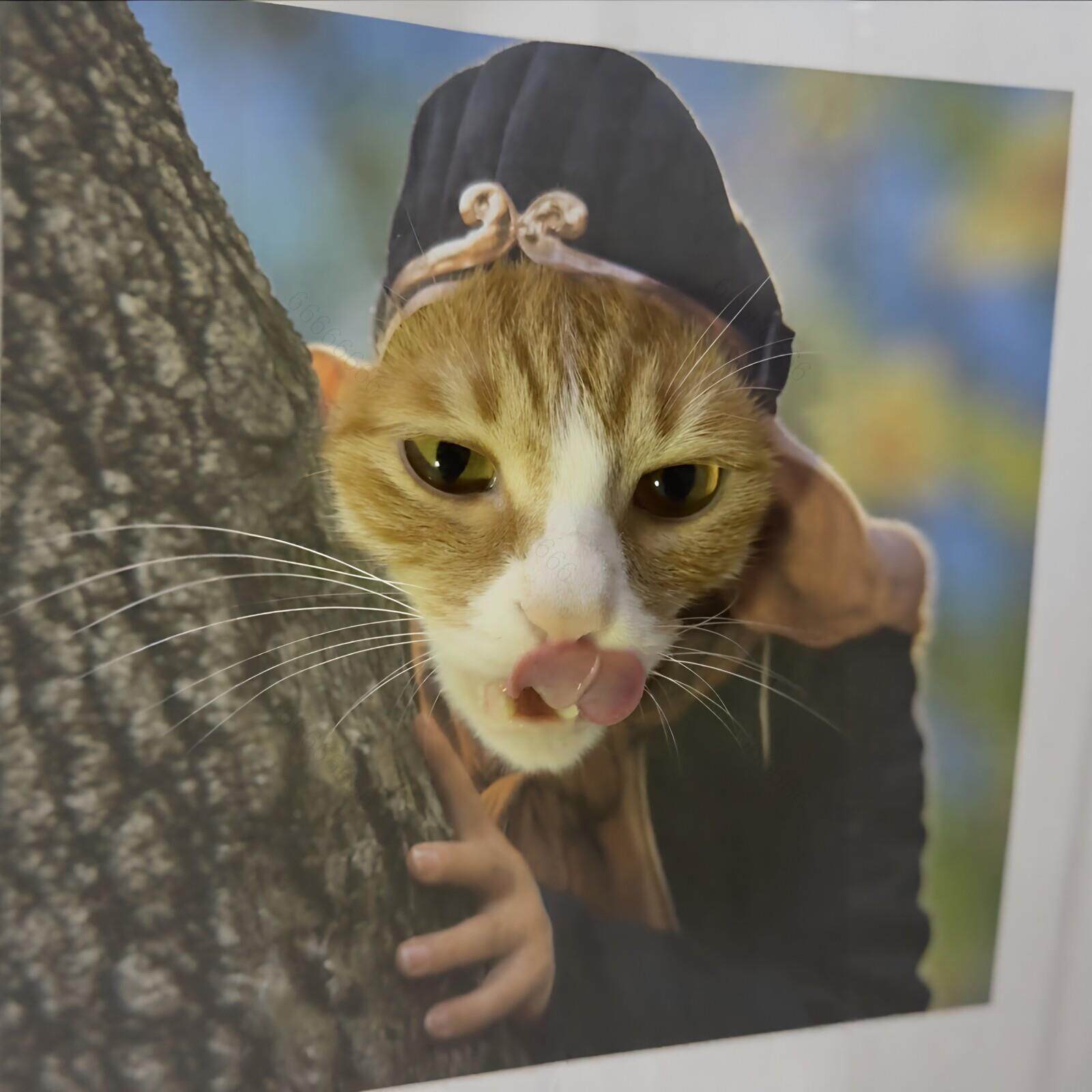 师父被妖怪抓走了！西游记宠物头套创意抽象猫咪小狗可爱拍照道具 - 实物图