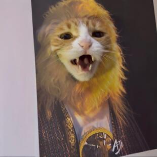 师父被妖怪抓走了!西游记宠物头套创意抽象猫咪小狗可爱拍照道具