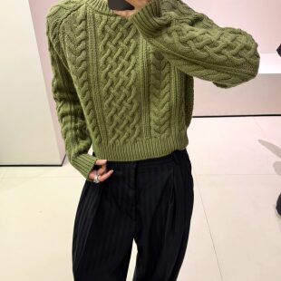 老虎上上山 插肩麻花套头毛衣 买手店 25AW DDD