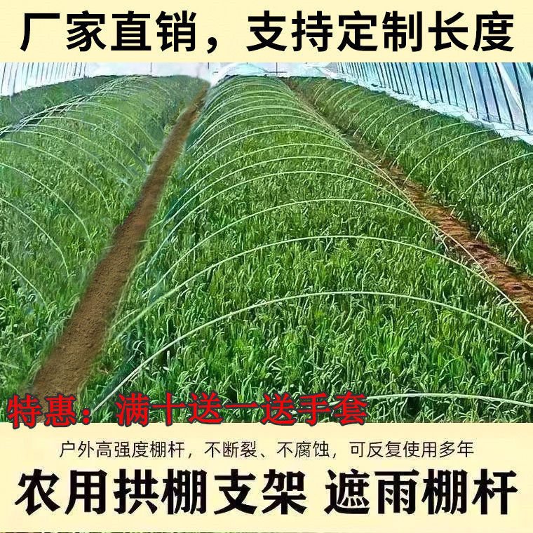 搭棚子支架农用小拱棚拱竿蔬菜保温棚菜棚杆遮阳防虫网架子玻璃钢