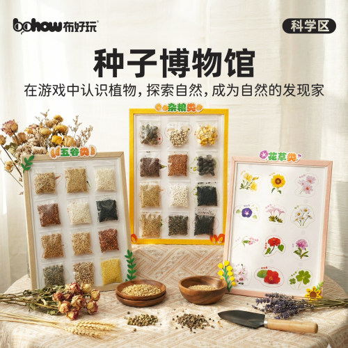 布好玩幼儿园种子观察教具