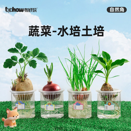【布好玩_蔬菜根茎种植】幼儿园自然角儿童土培水培植物生长观察 - 封面