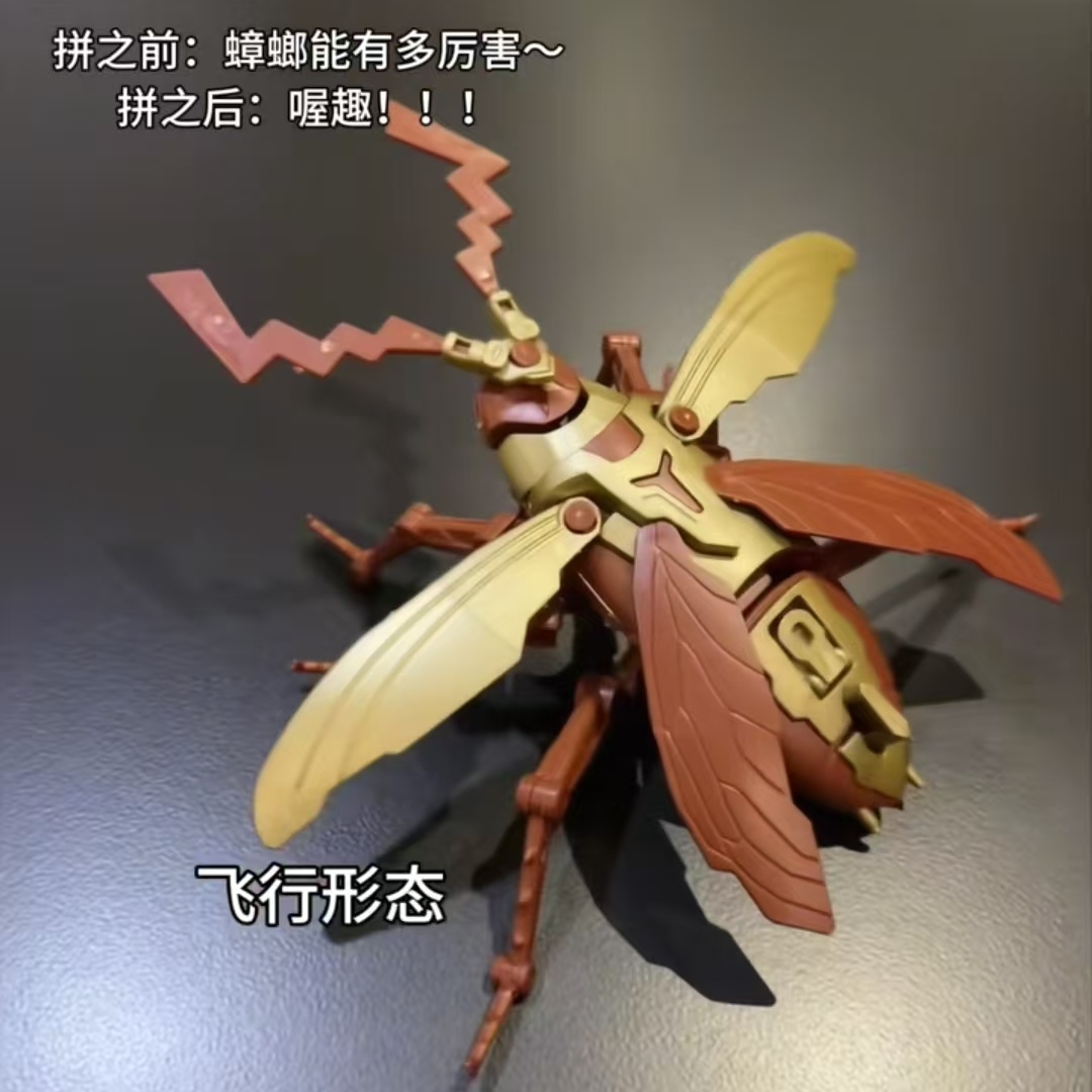 带到学校里被同桌一整个羡慕住了