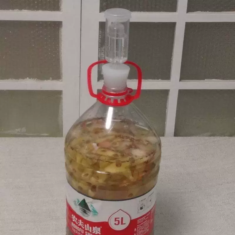 家用果酒单向排气阀适用农夫山泉二次发酵5L水桶三片式水封硅胶塞