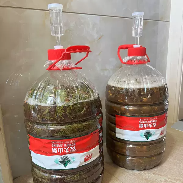 家庭自用酿酒排气阀适用农夫山泉怡宝矿泉水桶12L12.9L发酵水封