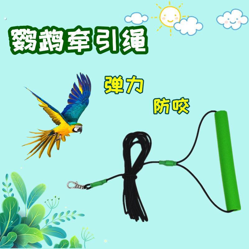 手养虎皮鹦鹉放飞绳超轻屎兜溜鸟绳牡丹玄凤鹦鹉专用外出牵引绳子