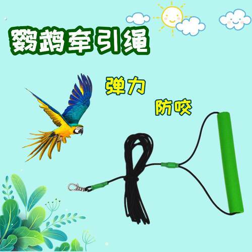 手养虎皮鹦鹉放飞绳超轻屎兜溜鸟绳牡丹玄凤鹦鹉专用外出牵引绳子