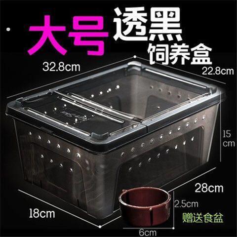 爬宠饲养盒蜗牛蜘蛛角蛙乌龟大中小号树栖躲避造景两栖爬虫饲养箱