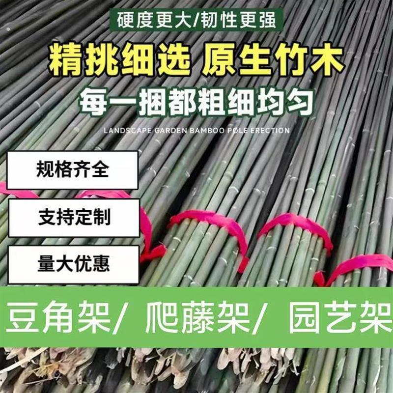 豆角黄瓜西红柿种菜架子竹子支撑杆三角梅支架杆竹子篱笆蚊帐支架