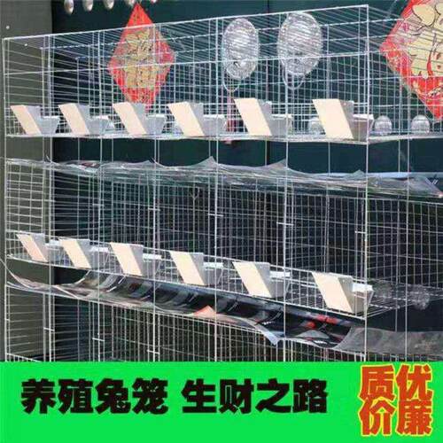 兔笼养殖专用12位24位欧式养殖免清粪12位子母笼加粗加密镀锌