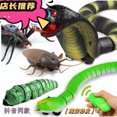 抖音蜘蛛仿真眼镜蛇遥控毛毛虫爬行动物虫子昆虫电动蟑螂整蛊玩具