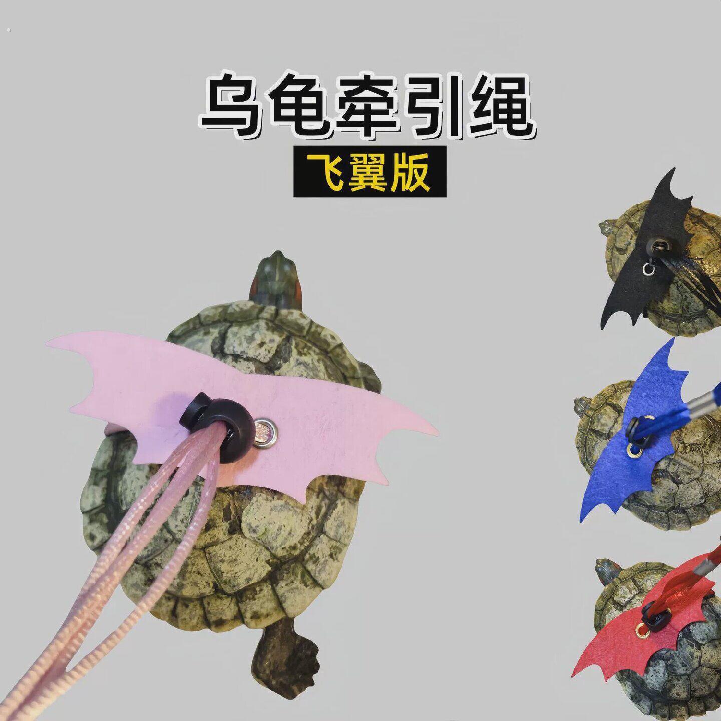 乌龟牵引绳可调节款遛乌龟龟牵引绳中小型带背心式外出溜龟草龟陆