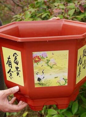 仿陶瓷加厚六角花盆大号果树绿箩多肉君子兰种树花盆处理清仓批发